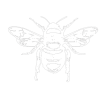 abeille-removebg-preview (1) abeille-removebg-preview (1)